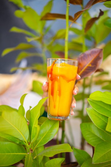Mango Sonic
